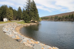 Views of Lower Owl Creek Dam, Tamaqua, 5-5-2014 (92)