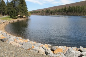 Views of Lower Owl Creek Dam, Tamaqua, 5-5-2014 (93)