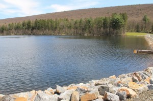 Views of Lower Owl Creek Dam, Tamaqua, 5-5-2014 (95)