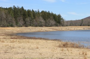 Views of Upper Owl Creek Dam, Tamaqua, 5-5-2014 (16)