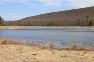 Views of Upper Owl Creek Dam, Tamaqua, 5-5-2014 (18)