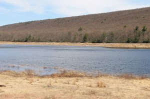 Views of Upper Owl Creek Dam, Tamaqua, 5-5-2014 (19)