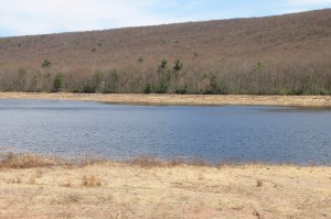 Views of Upper Owl Creek Dam, Tamaqua, 5-5-2014 (20)