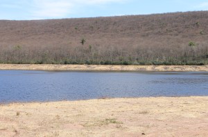 Views of Upper Owl Creek Dam, Tamaqua, 5-5-2014 (22)