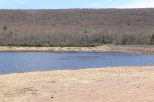 Views of Upper Owl Creek Dam, Tamaqua, 5-5-2014 (23)