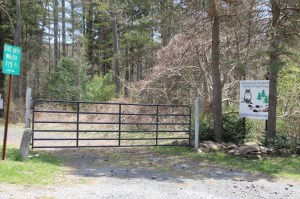 Views of Upper Owl Creek Dam, Tamaqua, 5-5-2014 (3)