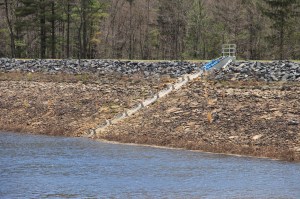 Views of Upper Owl Creek Dam, Tamaqua, 5-5-2014 (31)