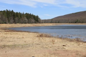 Views of Upper Owl Creek Dam, Tamaqua, 5-5-2014 (32)