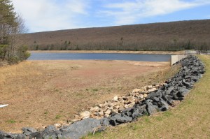 Views of Upper Owl Creek Dam, Tamaqua, 5-5-2014 (33)