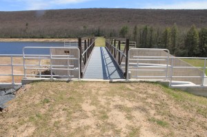 Views of Upper Owl Creek Dam, Tamaqua, 5-5-2014 (35)