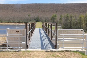 Views of Upper Owl Creek Dam, Tamaqua, 5-5-2014 (36)