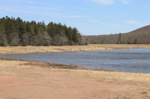 Views of Upper Owl Creek Dam, Tamaqua, 5-5-2014 (38)