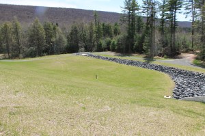 Views of Upper Owl Creek Dam, Tamaqua, 5-5-2014 (48)
