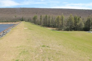 Views of Upper Owl Creek Dam, Tamaqua, 5-5-2014 (49)