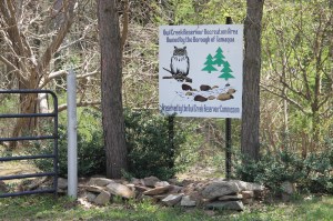 Views of Upper Owl Creek Dam, Tamaqua, 5-5-2014 (5)