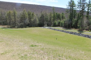 Views of Upper Owl Creek Dam, Tamaqua, 5-5-2014 (52)