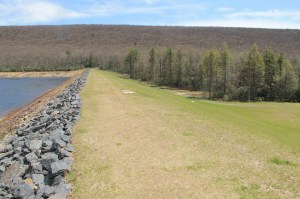 Views of Upper Owl Creek Dam, Tamaqua, 5-5-2014 (53)
