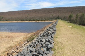 Views of Upper Owl Creek Dam, Tamaqua, 5-5-2014 (54)