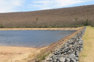 Views of Upper Owl Creek Dam, Tamaqua, 5-5-2014 (55)