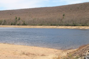 Views of Upper Owl Creek Dam, Tamaqua, 5-5-2014 (56)