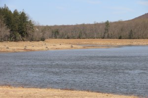 Views of Upper Owl Creek Dam, Tamaqua, 5-5-2014 (60)