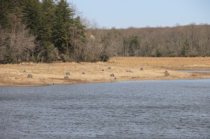 Views of Upper Owl Creek Dam, Tamaqua, 5-5-2014 (63)