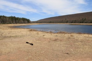 Views of Upper Owl Creek Dam, Tamaqua, 5-5-2014 (9)
