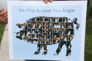 Candlelit Vigil for Angie, Angela Steigerwalt, Depot Square Park, Tamaqua, 6-14-2014 (96)