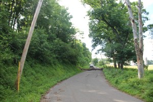 Fallen Tree on Wires, Church Road, Rush Township, 6-27-2014 (21)