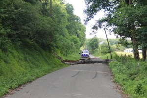 Fallen Tree on Wires, Church Road, Rush Township, 6-27-2014 (22)