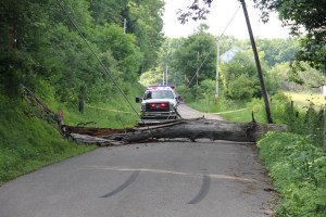 Fallen Tree on Wires, Church Road, Rush Township, 6-27-2014 (23)