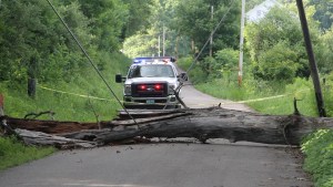 Fallen Tree on Wires, Church Road, Rush Township, 6-27-2014 (27)