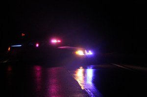 Fallen Tree on Wires, SR54, Hauto Highway, Hometown, 6-12-2014 (16)