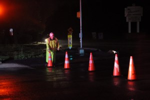 Fallen Tree on Wires, SR54, Hauto Highway, Hometown, 6-12-2014 (35)