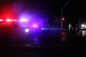Fallen Tree on Wires, SR54, Hauto Highway, Hometown, 6-12-2014 (39)