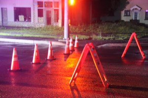 Fallen Tree on Wires, SR54, Hauto Highway, Hometown, 6-12-2014 (45)