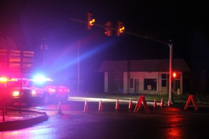 Fallen Tree on Wires, SR54, Hauto Highway, Hometown, 6-12-2014 (48)