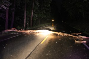 Fallen Tree on Wires, SR54, Hauto Highway, Hometown, 6-12-2014 (9)