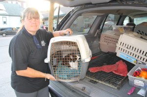 Overturned Camper, SUV, Bottom of Hometown Hill, SR309, Tamaqua, 6-18-2014 (87)