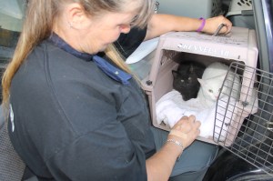 Overturned Camper, SUV, Bottom of Hometown Hill, SR309, Tamaqua, 6-18-2014 (91)