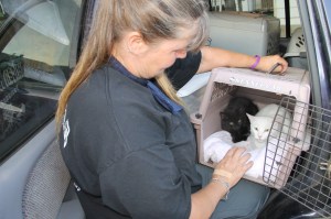 Overturned Camper, SUV, Bottom of Hometown Hill, SR309, Tamaqua, 6-18-2014 (95)