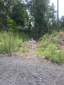 Sonja Lee Ritter (11)