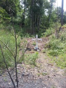 Sonja Lee Ritter (14)