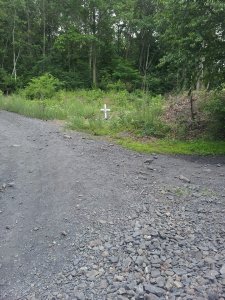 Sonja Lee Ritter (5)