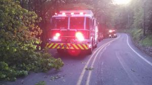 JOHN DESJARDINE/SPECIAL TO TAMAQUAAREA.COM