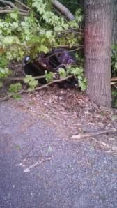 JOHN DESJARDINE/SPECIAL TO TAMAQUAAREA.COM