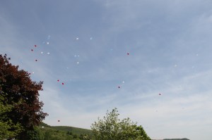 Tamaqua Memorial Day Service, Odd Fellows Cemetery, Tamaqua, 5-26-2014 (155)