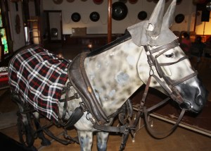 Thomas Jolin Visits GAR Cemetery, performs at Heritage Center, Summit Hill (71)