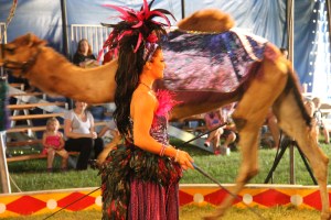 Walker Brothers Circus, Lehighton, 6-22-2014 (108)