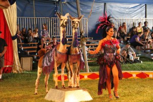 Walker Brothers Circus, Lehighton, 6-22-2014 (114)